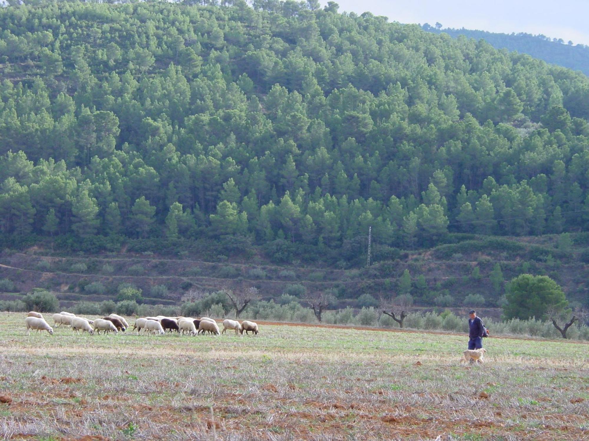 La Bodega Enoturismo Rural Mogente Luaran gambar